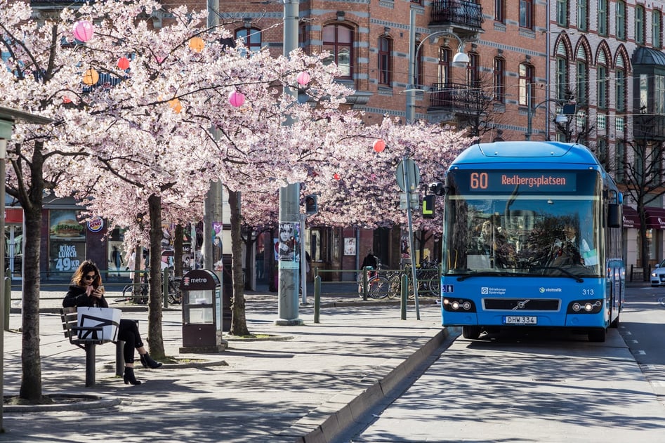 blue bus